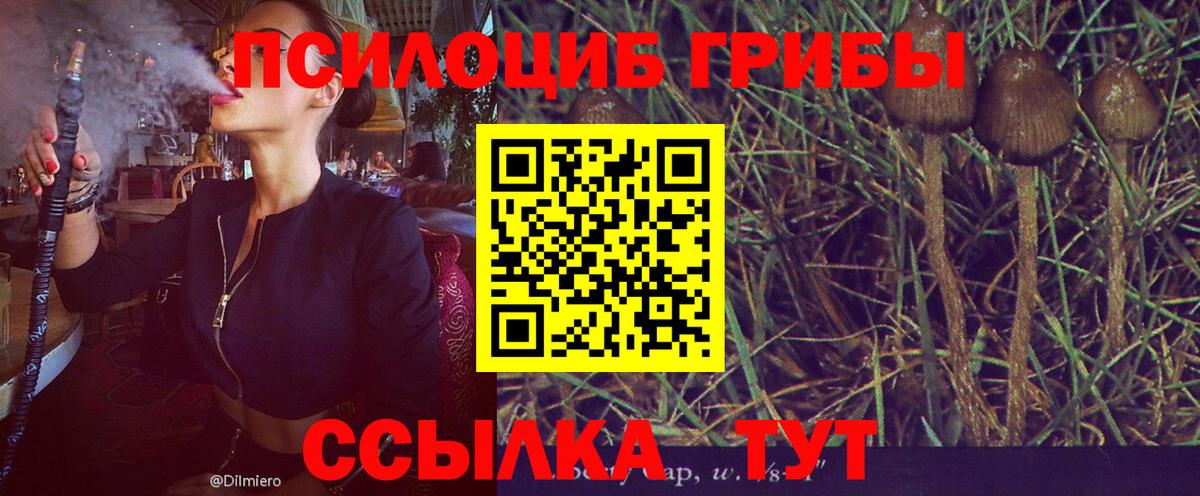 Галлюциногенные грибы Psilocybine cubensis Альметьевск
